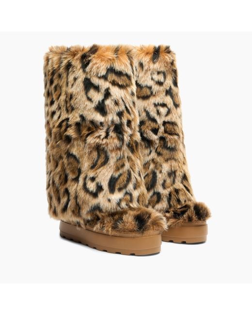 Casadei Brown Double Face High Boot