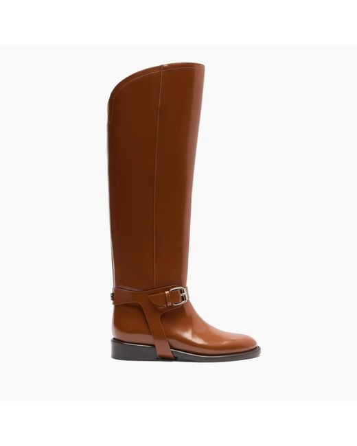 Casadei Brown Riderama To The Knee