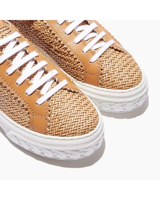 Casadei Multicolor Sneakers Hanoi
