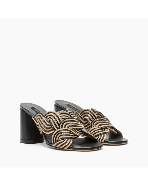 Casadei Gray Cleo Thaiti Mule