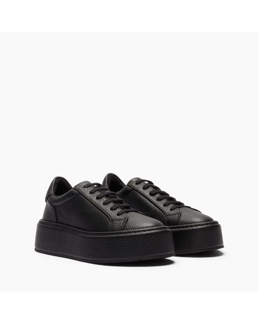 Casadei Black High Box Sneaker