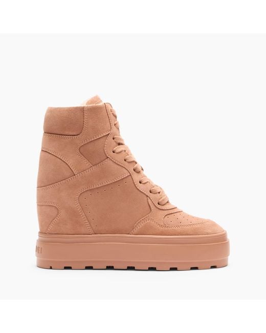 Casadei Brown High Top Sneaker