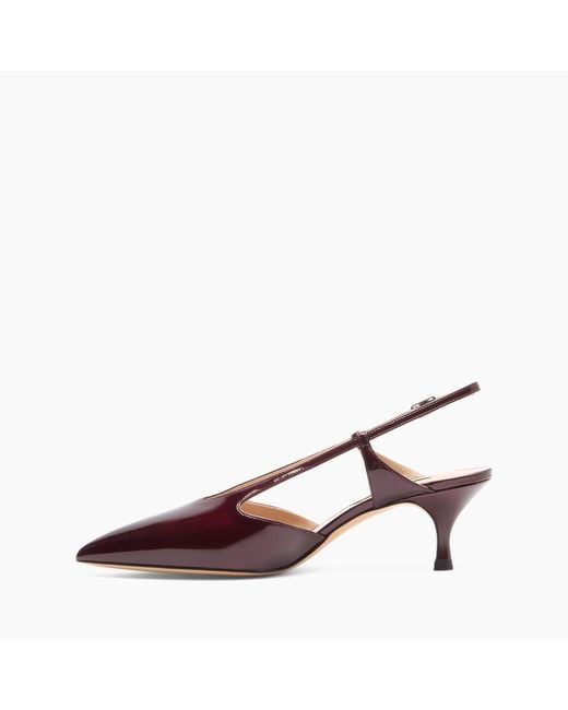 Samurai Julia Slingbacks di Casadei in Brown