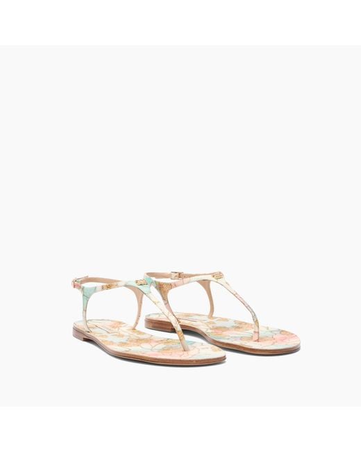 Casadei White Cathedral Thong Sandal