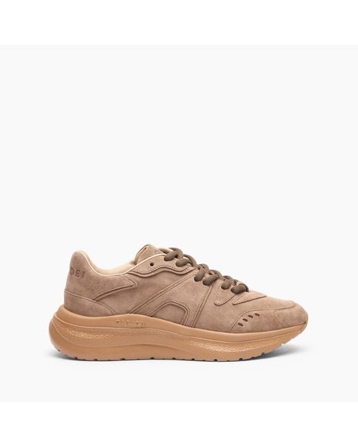 Casadei Brown Mia Mantis Sneakers