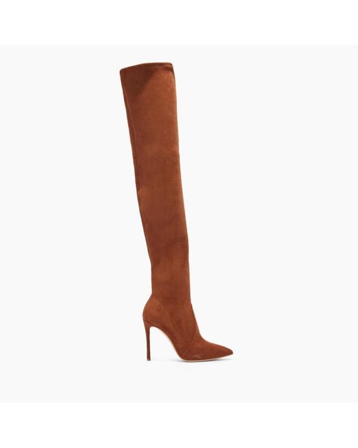 Casadei Brown Over-Knee Boots