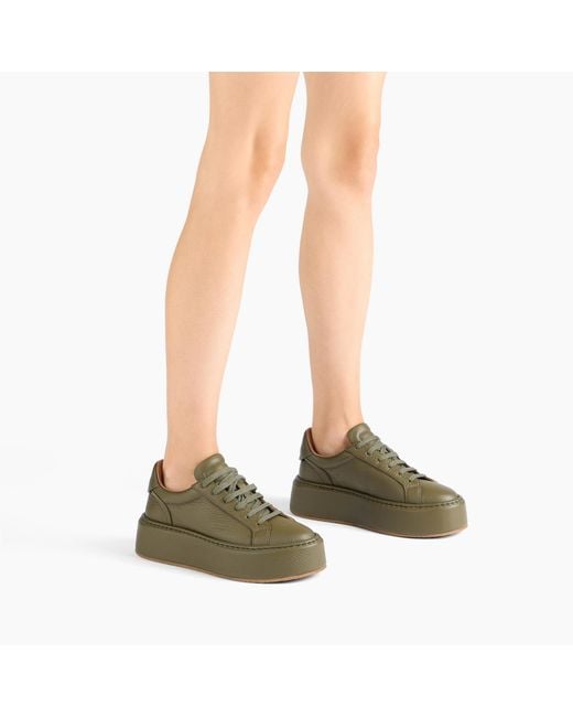 Casadei Green High Box Sneaker