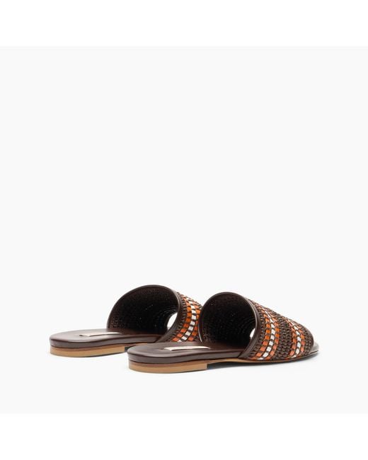 Casadei Brown Amalfi Slide Sandal