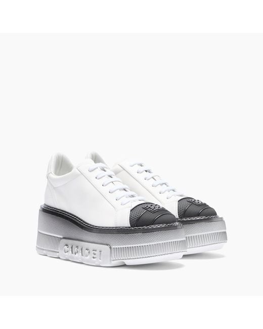 Casadei White Nexus Toe Cap Sneakers