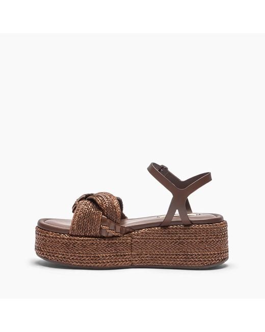 New Zeppa Odissea Hanoi Platform di Casadei in Brown