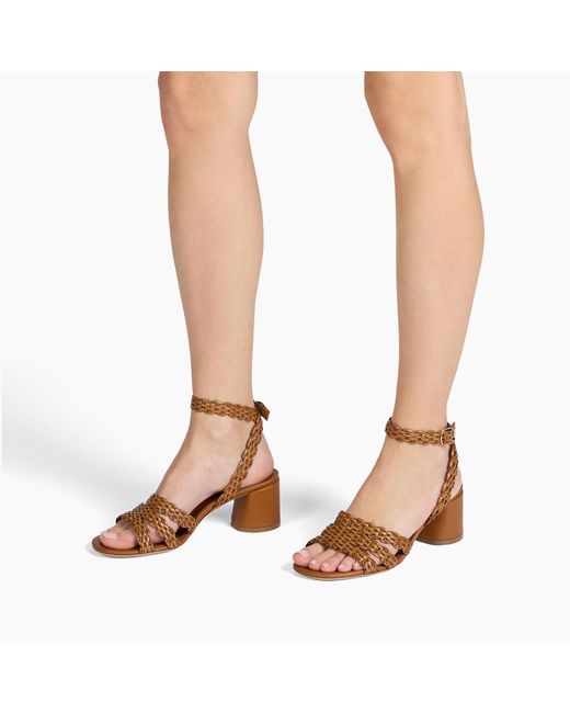 Casadei Brown Cleo Avenida Sandal