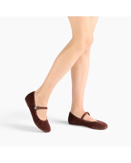Casadei Brown New Ballet Flat
