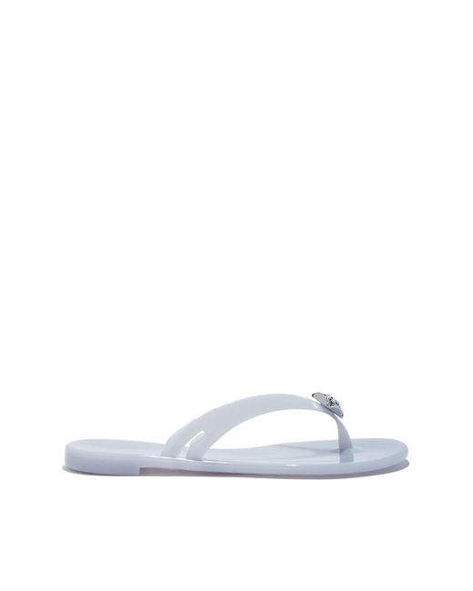 casadei jelly