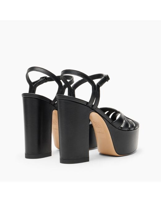 Casadei Black Elsa Platform