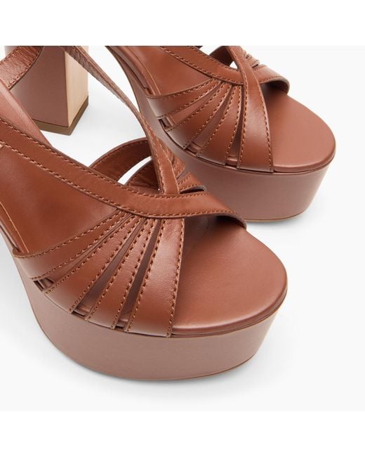Casadei Brown Elsa Platform