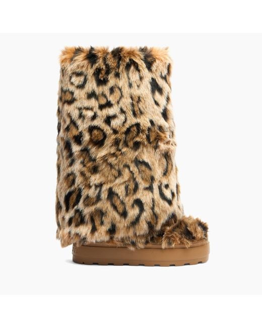 Casadei Brown Double Face High Boot