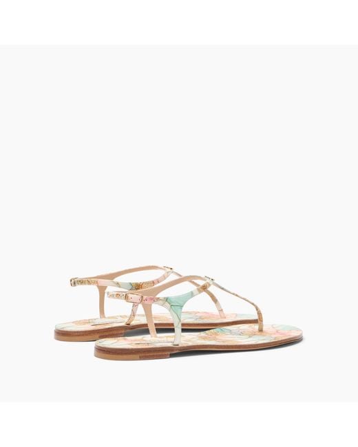 Casadei White Cathedral Thong Sandal