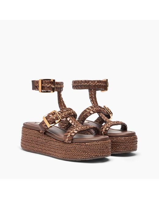 Casadei Brown New Zeppa Colosseo Platform