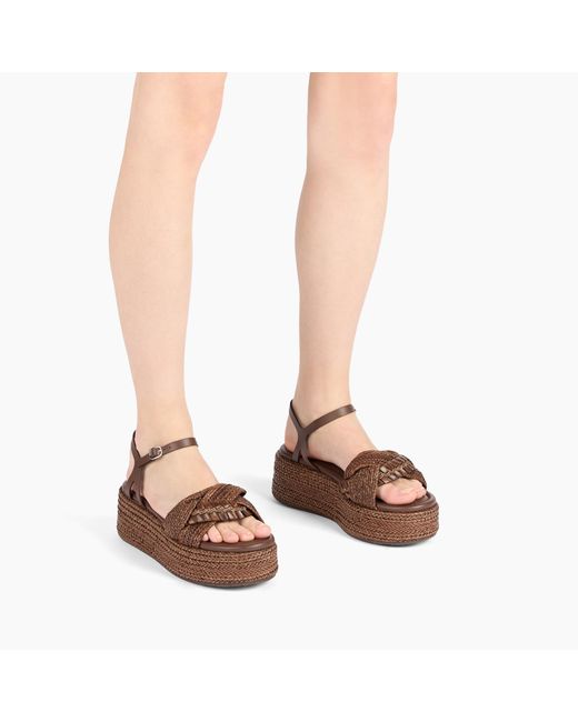 Casadei Brown New Zeppa Odissea Hanoi Platform