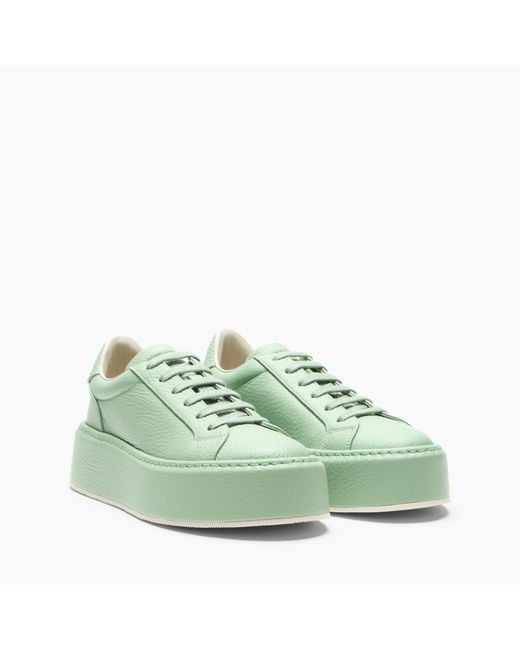 Casadei Green Sneaker I-box