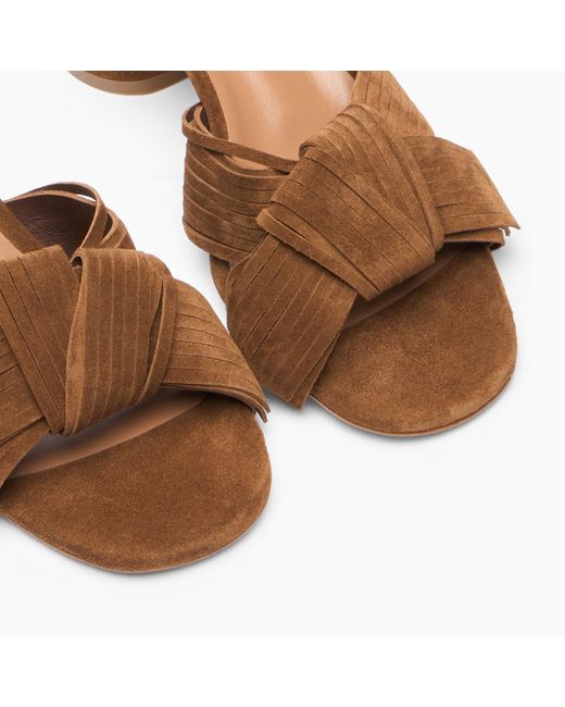 Casadei Brown Cleo Xanadou Mule
