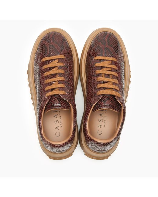 Casadei Brown Nexus Basilisco Sneaker