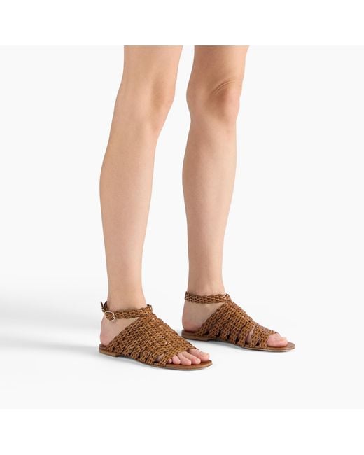 Casadei Brown Avenida Flat Sandal