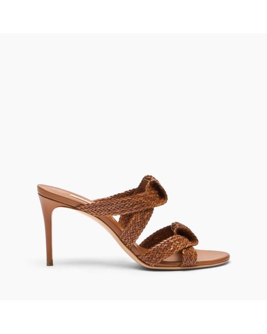 Casadei Brown Julia Mariposa Mule