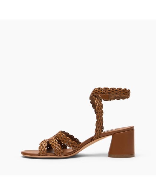 Casadei Brown Cleo Avenida Sandal