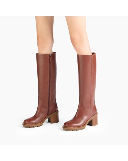Casadei Brown Concept Symphony Boot