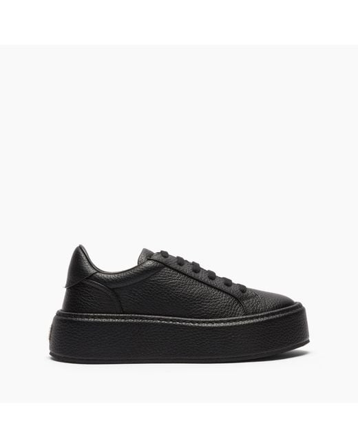 Casadei Black High Box Sneaker