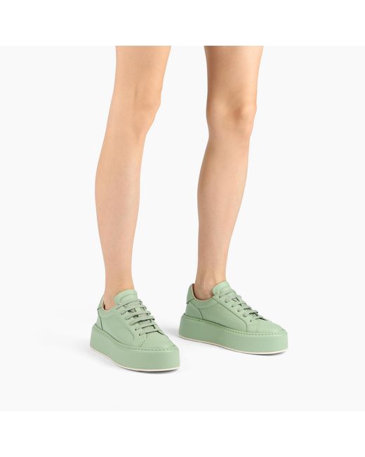 Casadei Green Sneaker I-box
