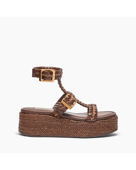 Casadei Brown New Zeppa Colosseo Platform