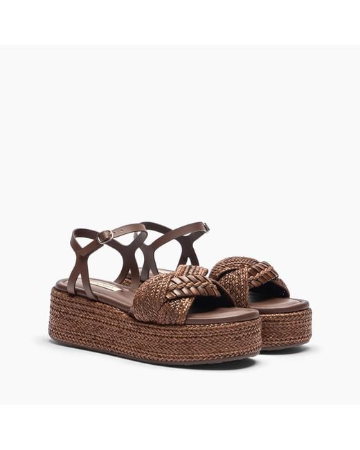 New Zeppa Odissea Hanoi Platform di Casadei in Brown