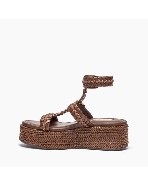 Casadei Brown New Zeppa Colosseo Platform
