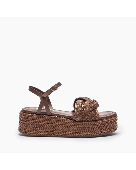Casadei Brown New Zeppa Odissea Hanoi Platform