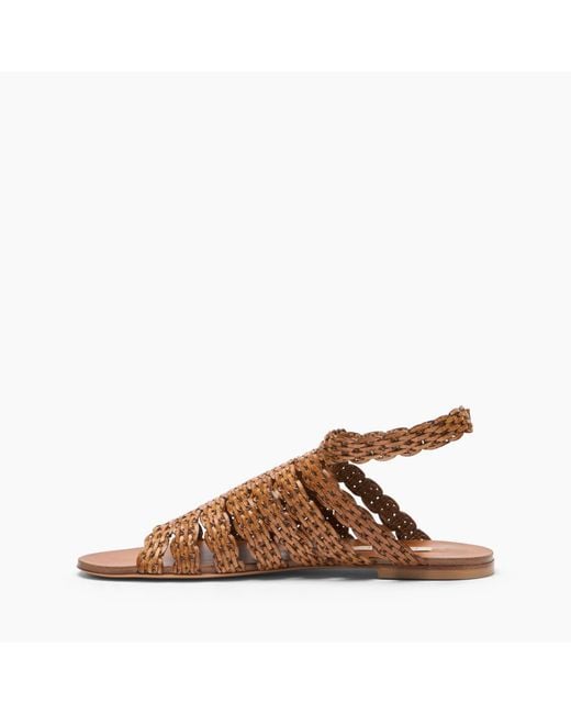 Casadei Brown Avenida Flat