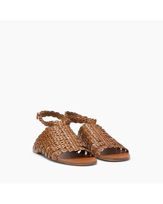 Casadei Brown Avenida Flat