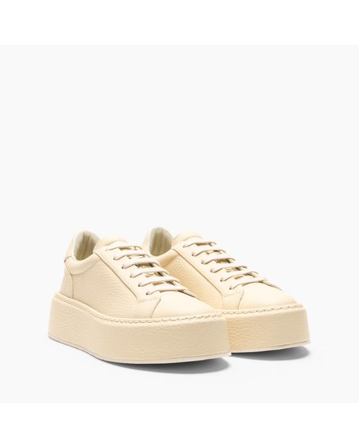Casadei Natural Sneaker I-box
