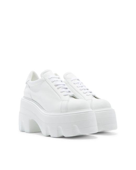 Casadei White Maxxxi Leather Sneakers