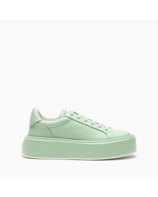 Casadei Green Sneaker I-box