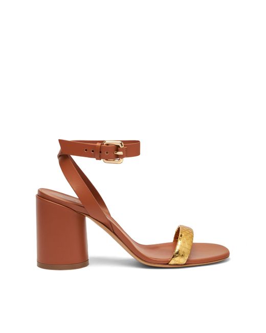 Casadei Brown Atomium Cleo Leather And Gold Sandals