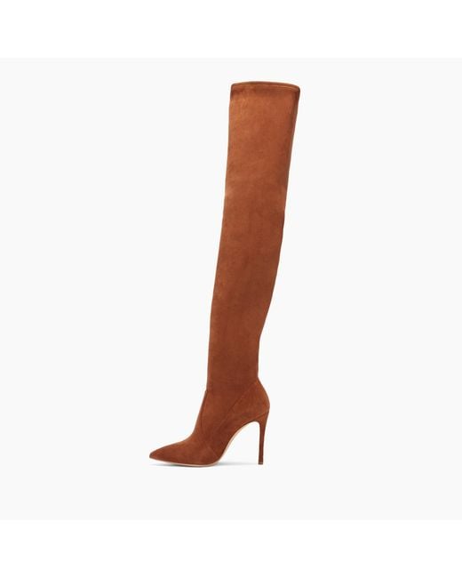Casadei Brown Over-Knee Boots