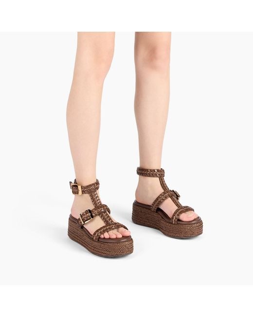 New Zeppa Colosseo Platform di Casadei in Brown