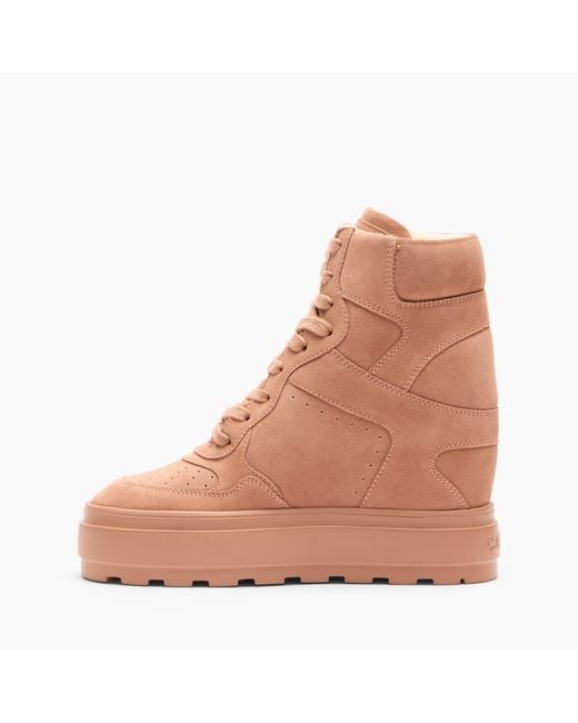 Casadei Brown High Top Sneaker