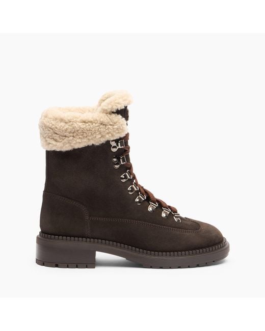 Concept Ankle Boot di Casadei in Brown