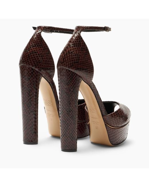 Casadei Brown Flora Platform Basilisco Sandal