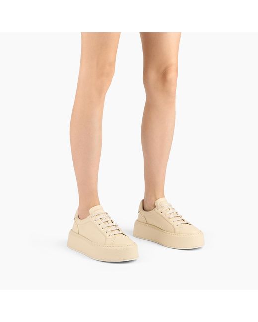 Casadei Natural Sneaker I-box