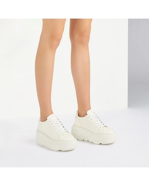 Casadei White Nexus Leather Sneakers