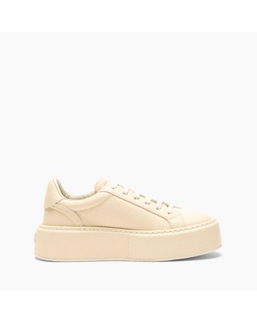 Casadei Natural Sneaker I-box